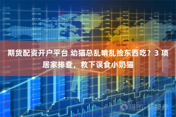 期货配资开户平台 幼猫总乱啃乱捡东西吃？3 项居家排查，救下误食小奶猫