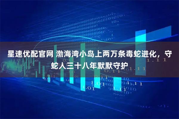 星速优配官网 渤海湾小岛上两万条毒蛇进化，守蛇人三十八年默默守护